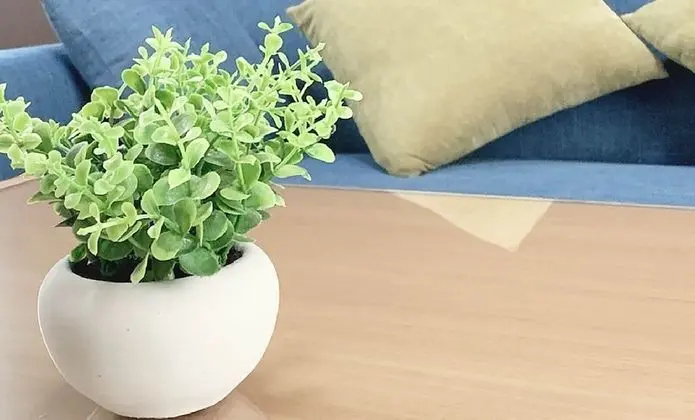 Stüdyo, Balkon (202)