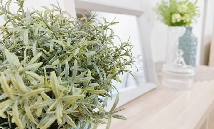 Stüdyo, Balkon (202)