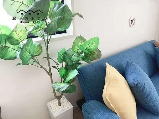 Stüdyo, Balkon (404)