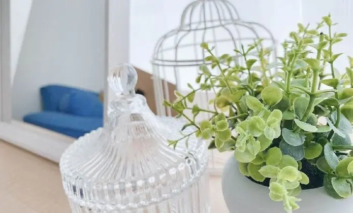 Stüdyo, Balkon (404)