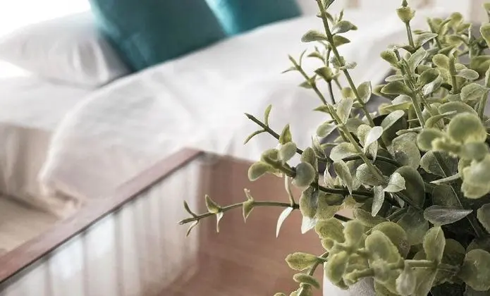 Stüdyo, Balkon (504)