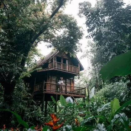 Treehouse 2-Storey