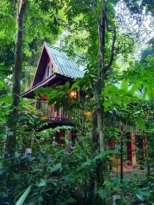Bungalov (Quad)