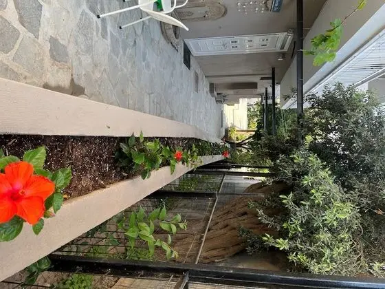 Apart Daire, 2 Yatak Odası, Sigara İçilebilir, Balkon