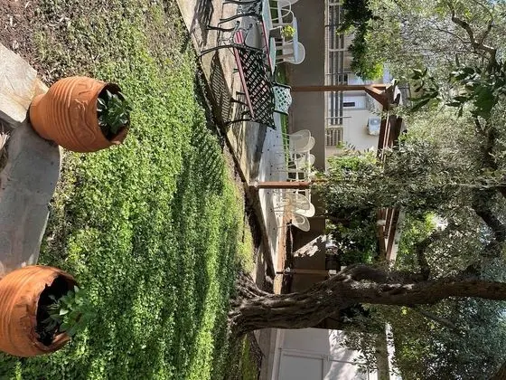 Apart Daire, 2 Yatak Odası, Sigara İçilebilir, Balkon