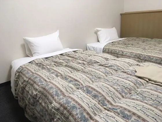 Basic İki Ayrı Yataklı Oda, Sigara İçilmez (Basic Twin Room, Non Smoking)