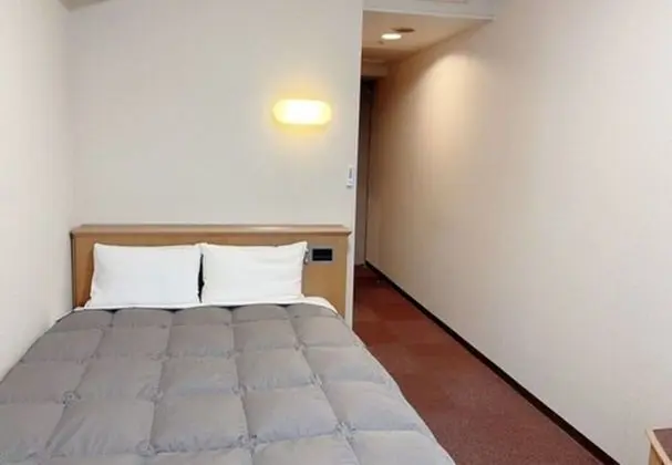 Basic Tek Büyük Yataklı Oda, Sigara İçilebilir (Basic Double Room, Smoking)