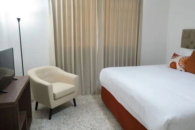 Premium Tek Büyük Yataklı Oda, 1 En Büyük (King) Boy Yatak