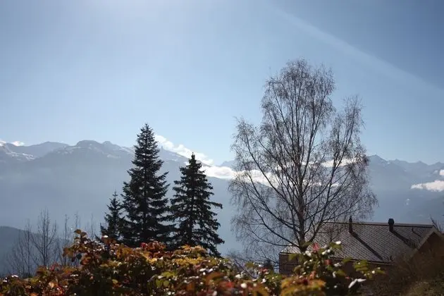 Dağ Evi, Birden Çok Yatak Odası, Şömine