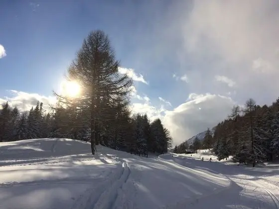 Dağ Evi, Birden Çok Yatak Odası, Şömine