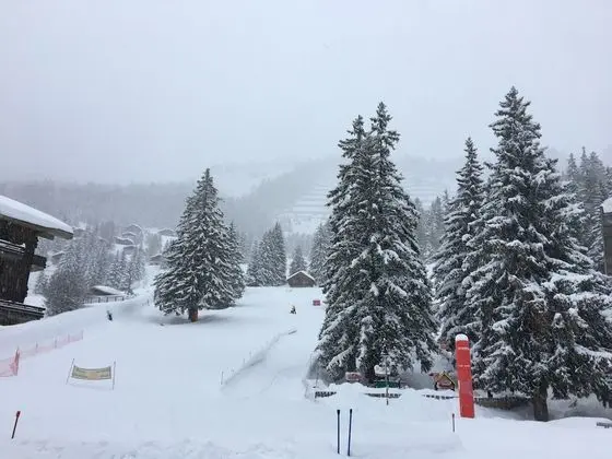 Dağ Evi, Birden Çok Yatak Odası, Şömine