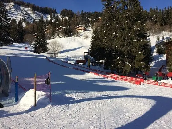 Dağ Evi, Birden Çok Yatak Odası, Şömine