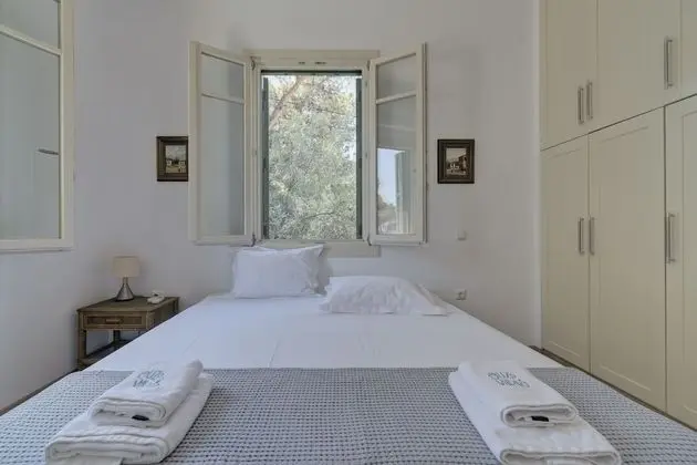 Traditional Villa