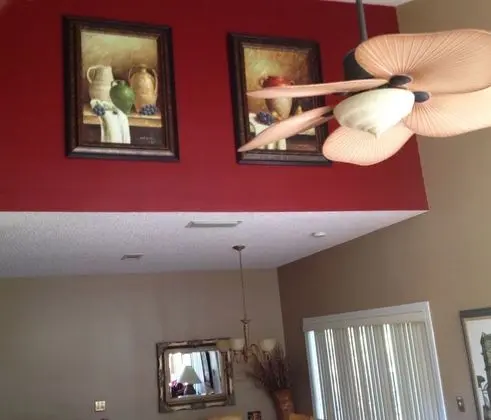 Family Sıra Ev, Balkon, Bahçeli