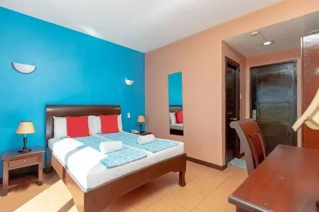 Superior Tek Büyük Yataklı Oda
