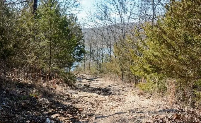 Daire (Overlook @ Eagles Nest - Updated - Cl)