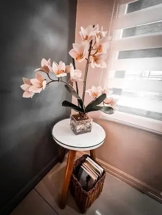 Apart Daire, 2 Yatak Odası, Şehir Manzaralı