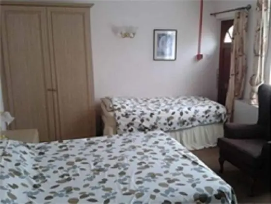 Standard Tek Büyük Yataklı Oda, 1 Yatak Odası