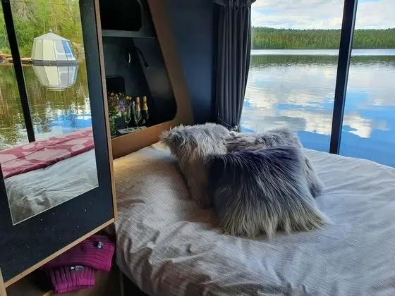 Stüdyo Süit (Premium)