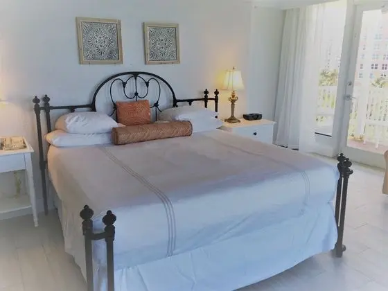 Deluxe Oda, 1 En Büyük (King) Boy Yatak ve Çekyat, Okyanus Manzaralı (Room 504)