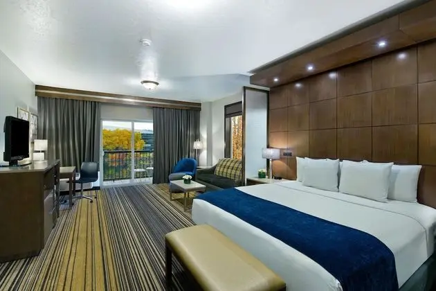 Executive Süit, Nehir Manzaralı (River View Executive King Suite)