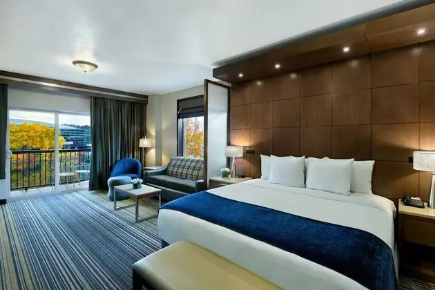 Executive Süit, Nehir Manzaralı (River View Executive King Suite)