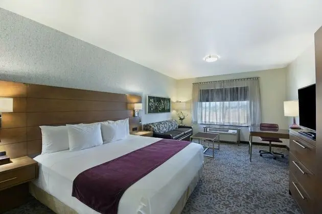 King Suite