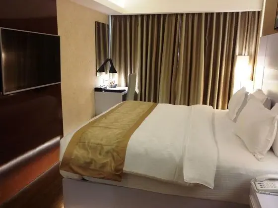 Executive Süit, 1 Yatak Odası, Şehir Manzaralı