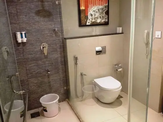 Executive Süit, 1 Yatak Odası, Şehir Manzaralı