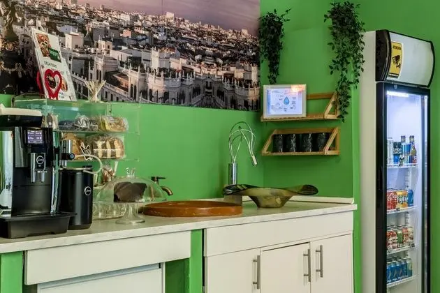 Tek Büyük Yataklı Oda (Capsule 2persons in mixed shared room)