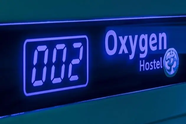 Tek Büyük Yataklı Oda (Capsule 2persons in mixed shared room)