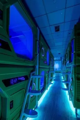 Tek Kişilik Oda (Capsule 1 person in mixed shared room)