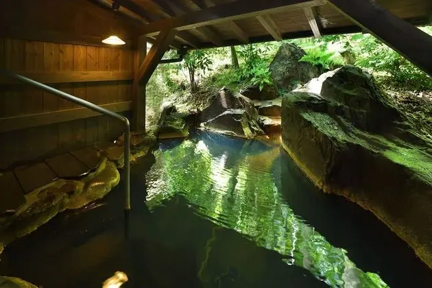 Oda, Sigara İçilebilir (Japanese-Western, Open-air Bath)