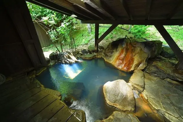Traditional Oda, Sigara İçilebilir (Japanese Style, Private Open-air Bath)