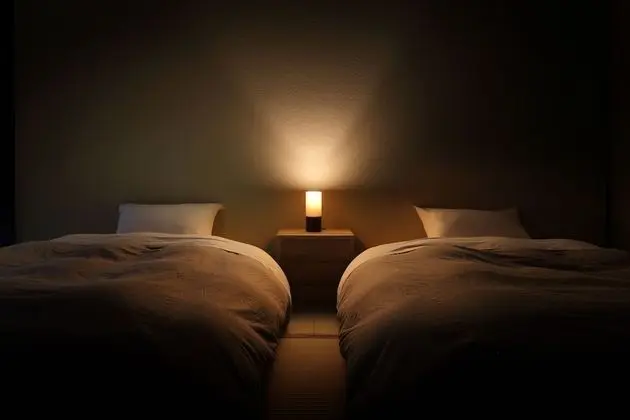 Traditional İki Ayrı Yataklı Oda, Özel Banyo (Moderate, Japanese Modern, 30 sqm)