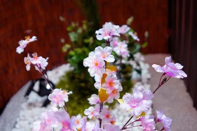 Basic Ev, Sigara İçilmez, Bahçe Manzaralı