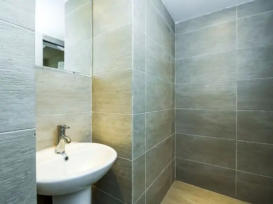 Standard Tek Büyük Yataklı Oda, 1 En Büyük (King) Boy Yatak