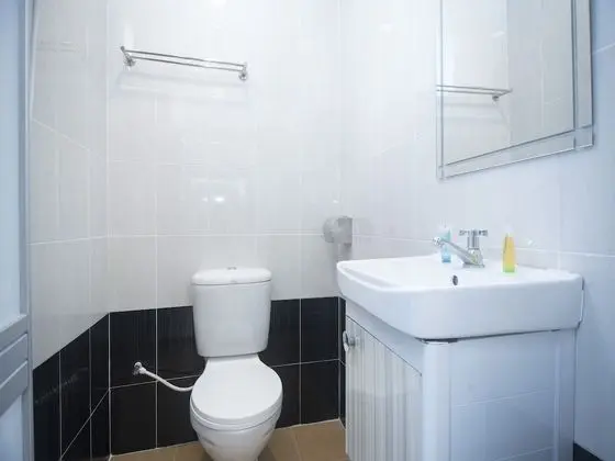Standard Tek Büyük Yataklı Oda, 1 Çift Kişilik Yatak
