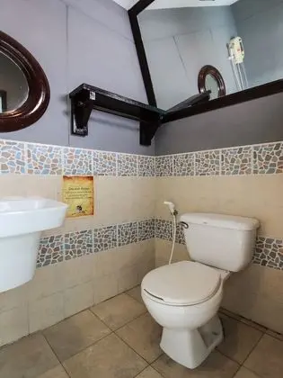 Superior Tek Büyük Yataklı Oda