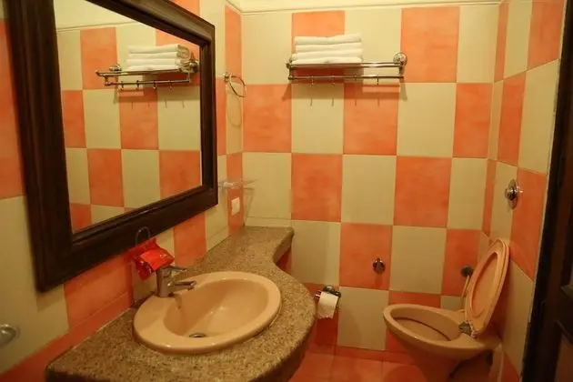 Standard Tek Büyük veya İki Ayrı Yataklı Oda, 1 Çift Kişilik Yatak, Özel Banyo