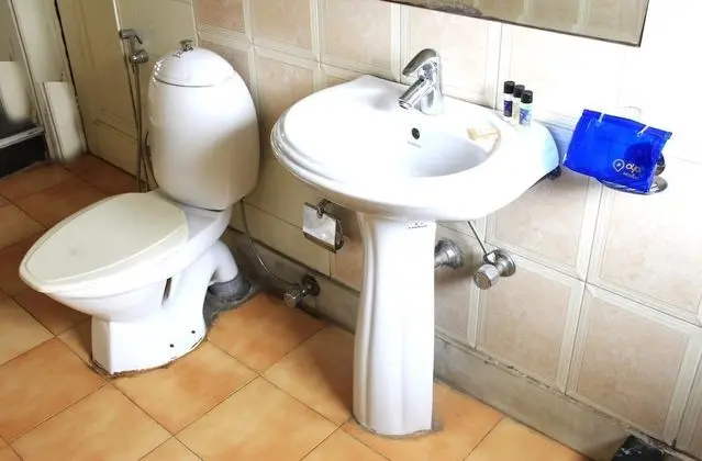 Standard Tek Büyük veya İki Ayrı Yataklı Oda, Özel Banyo