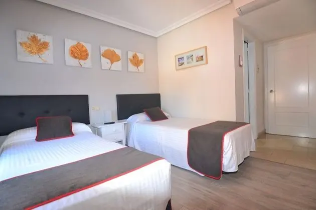 Tek Büyük Yataklı Oda (Dos camas)