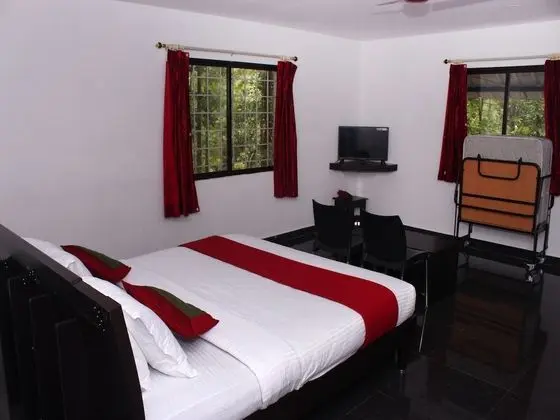 Deluxe Tek Büyük veya İki Ayrı Yataklı Oda