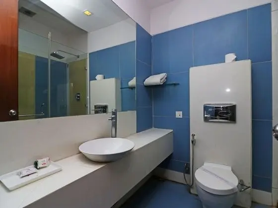 Standard Tek Büyük veya İki Ayrı Yataklı Oda, Özel Banyo