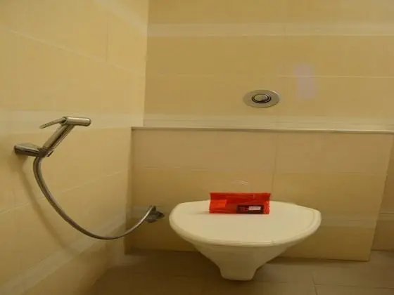 Standard Tek Büyük veya İki Ayrı Yataklı Oda, Özel Banyo