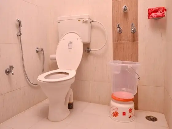 Deluxe Tek Büyük veya İki Ayrı Yataklı Oda, 1 Büyük (Queen) Boy Yatak