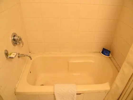 Standard Tek Büyük veya İki Ayrı Yataklı Oda, 1 Yatak Odası, Özel Banyo