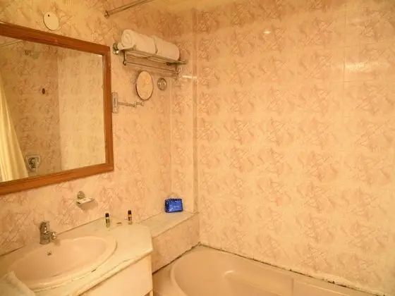 Standard Tek Büyük veya İki Ayrı Yataklı Oda, 1 Yatak Odası, Özel Banyo