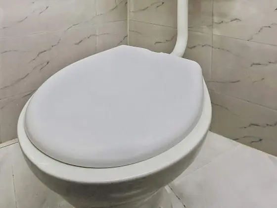 Deluxe Tek Büyük veya İki Ayrı Yataklı Oda, 1 En Büyük (King) Boy Yatak