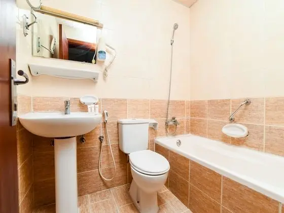 Standard Apart Daire, 1 Yatak Odası